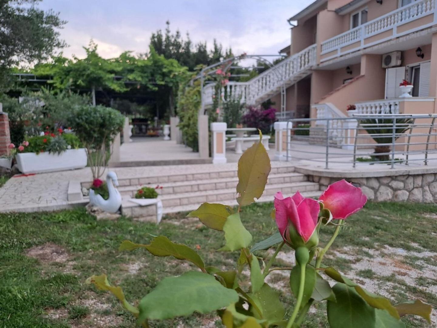 Apartments Mig - With Beautiful Garden Supetarska Draga Buitenkant foto