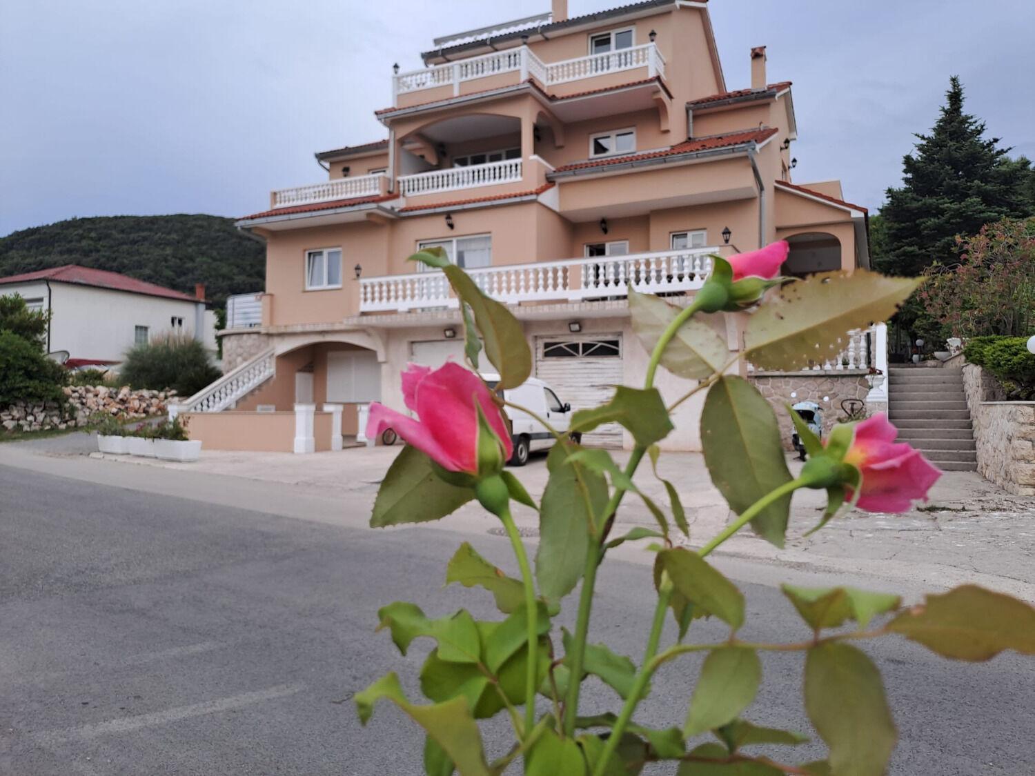 Apartments Mig - With Beautiful Garden Supetarska Draga Buitenkant foto