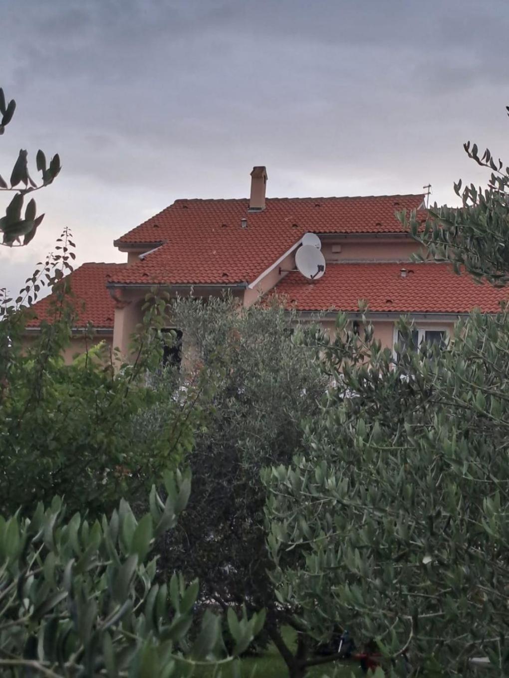 Apartments Mig - With Beautiful Garden Supetarska Draga Buitenkant foto